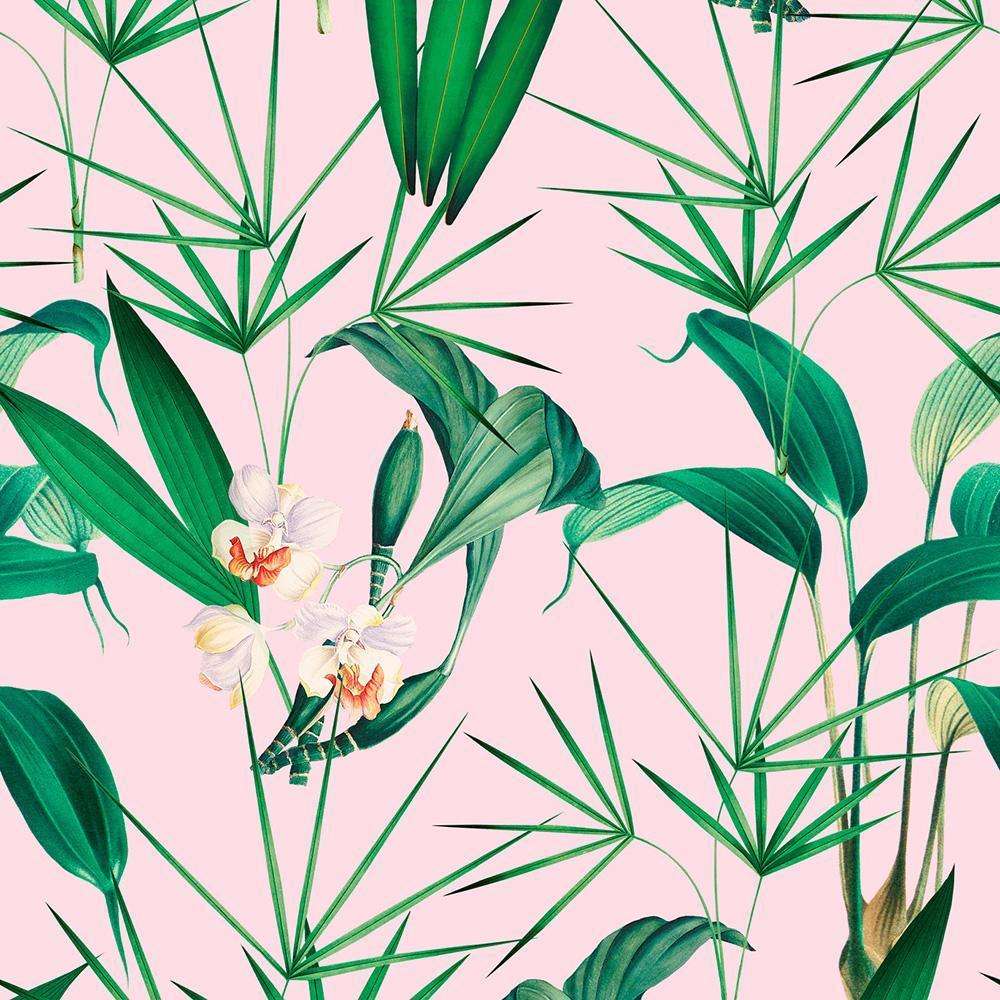 Palm Springs-Tapete-Mind the Gap-Roze-300 cm (standaard)-WP20361-Selected Wallpapers