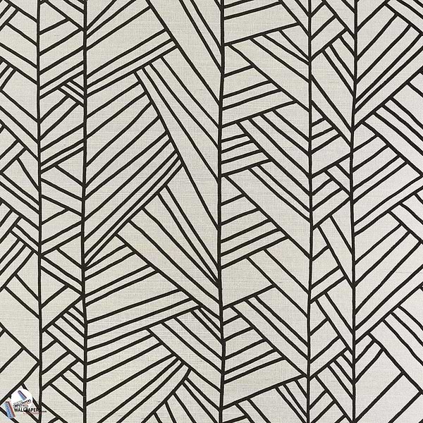 Papyrus-Wallpaper-Pierre Frey-Noir-Meter (M1)-FP891004-Selected Wallpapers