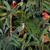 Parrots of Brasil-wallpaper-Mind the Gap-Donker-300 cm (standaard)-WP20522-Selected Wallpapers