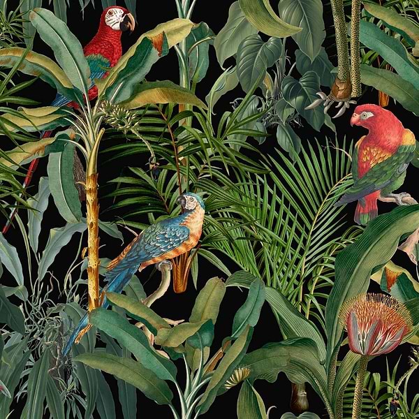 Parrots of Brasil-wallpaper-Mind the Gap-Donker-300 cm (standaard)-WP20522-Selected Wallpapers