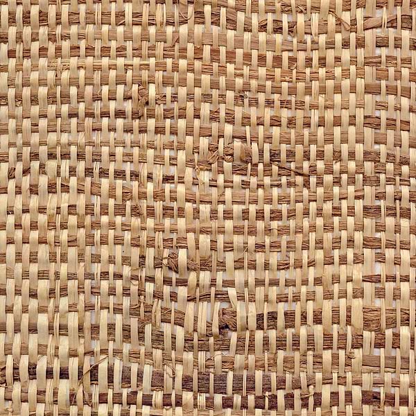 Raffia Feuilles de Bananier-Tapete-CMO Paris-Blond-Meter (M1)-CMO WRA 01 20-Selected Wallpapers