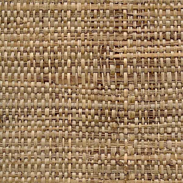 Raffia Feuilles de Bananier-Tapete-CMO Paris-Sable-Meter (M1)-CMO WRA 01 21-Selected Wallpapers