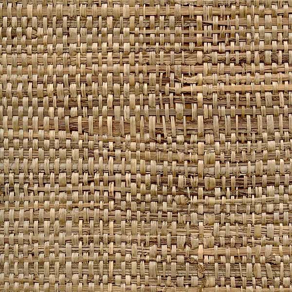 Raffia Feuilles de Bananier-Tapete-CMO Paris-Sable-Meter (M1)-CMO WRA 01 21-Selected Wallpapers