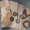 Raffia Lotus-Tapete-CMO Paris-Selected Wallpapers