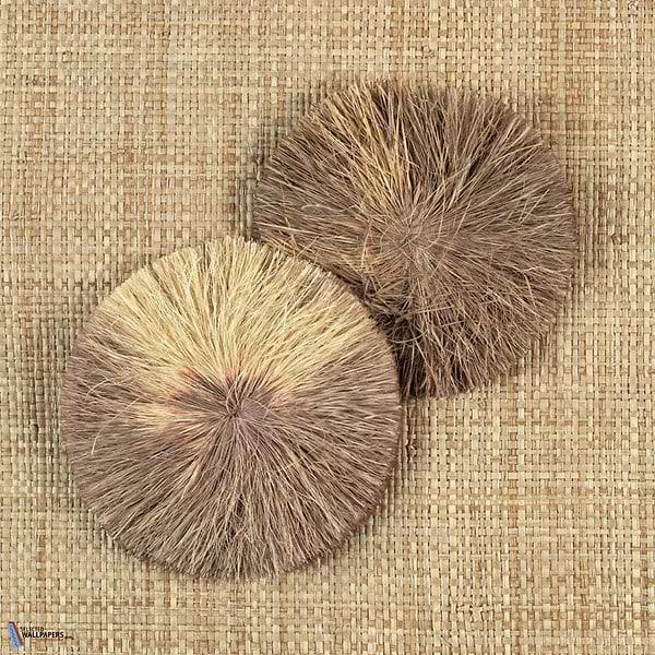 Raffia Lotus-Tapete-CMO Paris-Miel-Meter (M1)-CMO WRA 08 21-Selected Wallpapers