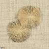 Raffia Lotus-Tapete-CMO Paris-Polaire-Meter (M1)-CMO WRA 08 88-Selected Wallpapers