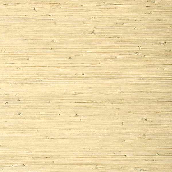 Raffia Palm-Wallpaper-Thibaut-Natural-Roll-T24065-Selected Wallpapers