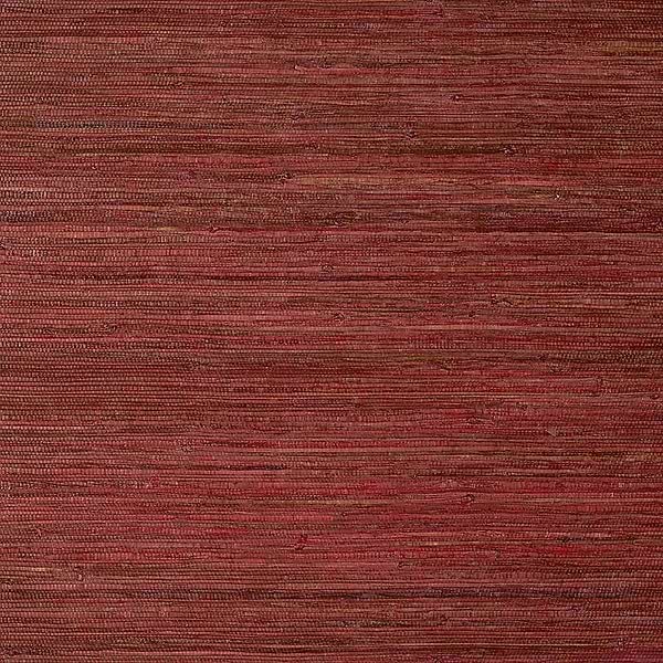 Raffia Palm-Wallpaper-Thibaut-Sun Baked-Roll-T24068-Selected Wallpapers