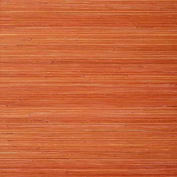 Raffia Palm-Wallpaper-Thibaut-Orange-Roll-T24072-Selected Wallpapers