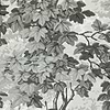 Richmond Park-Tapete-Zoffany-Charcoal-Rolle-310059-Selected Wallpapers