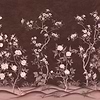 Romance-Wallpaper-Presence-Off-Silk Vinyl-PS101/04-Selected Wallpapers