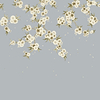 Rosa-Wallpaper-Harlequin-Feather Grey-Roll-112888-Selected Wallpapers