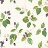 Rubus-Wallpaper-Sanderson-Blackberry-Roll-217227-Selected Wallpapers