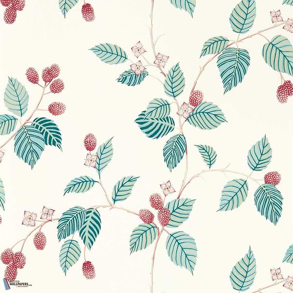 Rubus-Wallpaper-Sanderson-Rasberry-Roll-217228-Selected Wallpapers