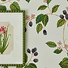 Rubus-Wallpaper-Sanderson-Selected Wallpapers
