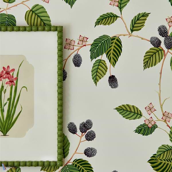 Rubus-Wallpaper-Sanderson-Selected Wallpapers