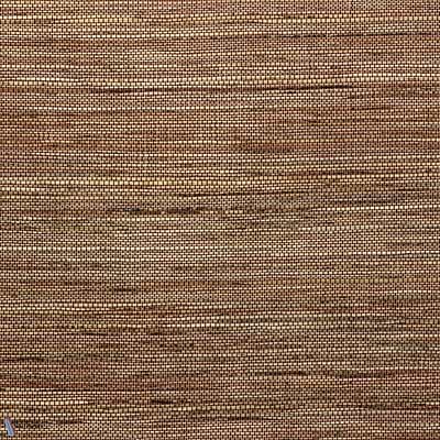 Sambe-Wallpaper-Arte-Natural Spice-Meter (M1)-54553-Selected Wallpapers