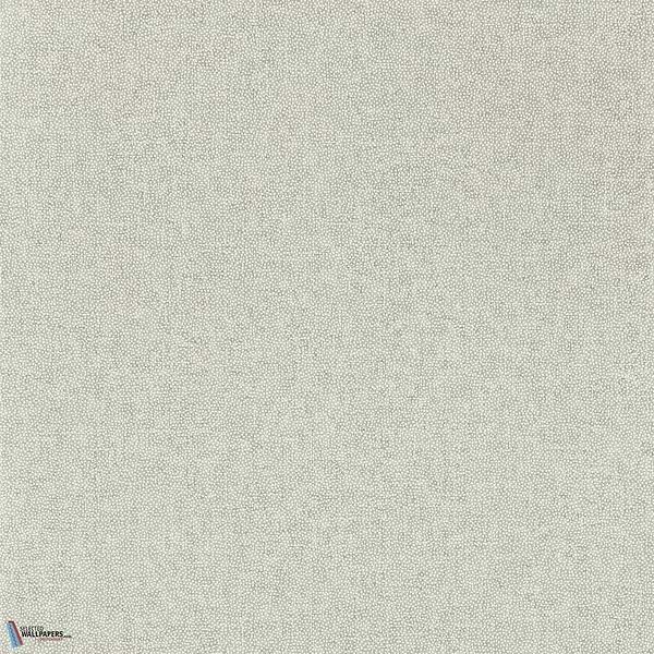 Sessile Plain-Wallpaper-Sanderson-Driftwood-Roll-217245-Selected Wallpapers