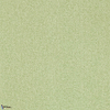 Sessile Plain-Wallpaper-Sanderson-Sap Green-Roll-217248-Selected Wallpapers