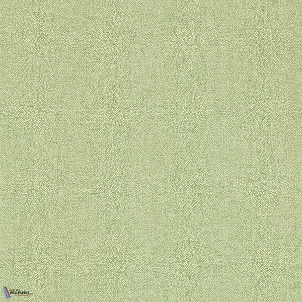 Sessile Plain-Wallpaper-Sanderson-Sap Green-Roll-217248-Selected Wallpapers
