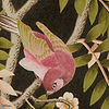 Silk Tree-Wallpaper-Liberty-Red Lac-Set-07292202E-Selected Wallpapers