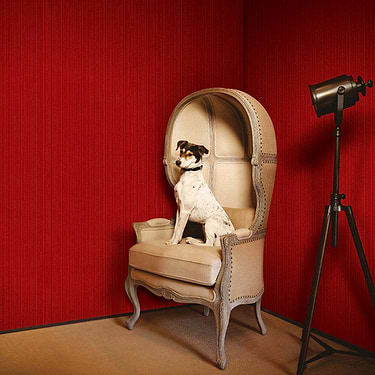 Soft Comfort Natural Palette-wallpaper-Greenland-Selected Wallpapers