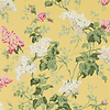 Sommerville-behang-Sanderson-Carmen/Daffodil-Rol-217051-Selected Wallpapers