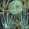 Succulentus-wallpaper-Mind the Gap-Anthracite-300 cm (standaard)-WP20167-Selected Wallpapers