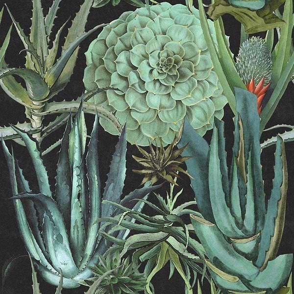 Succulentus-Tapete-Mind the Gap-Anthracite-300 cm (standaard)-WP20167-Selected Wallpapers