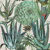 Succulentus-wallpaper-Mind the Gap-White-300 cm (standaard)-WP20168-Selected Wallpapers