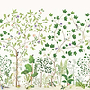 Sycamore and Oak-Wallpaper-Sanderson-Botanical Green-Roll-217211-Selected Wallpapers