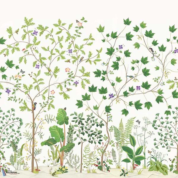 Sycamore and Oak-Wallpaper-Sanderson-Botanical Green-Roll-217211-Selected Wallpapers