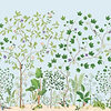 Sycamore and Oak-Wallpaper-Sanderson-Sky Blue-Roll-217212-Selected Wallpapers
