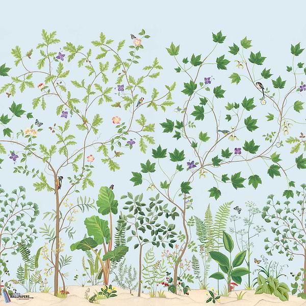 Sycamore and Oak-Wallpaper-Sanderson-Sky Blue-Roll-217212-Selected Wallpapers