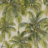 Tampa-wallpaper-Pierre Frey-Palmeraie-Roll-FP565001-Selected Wallpapers