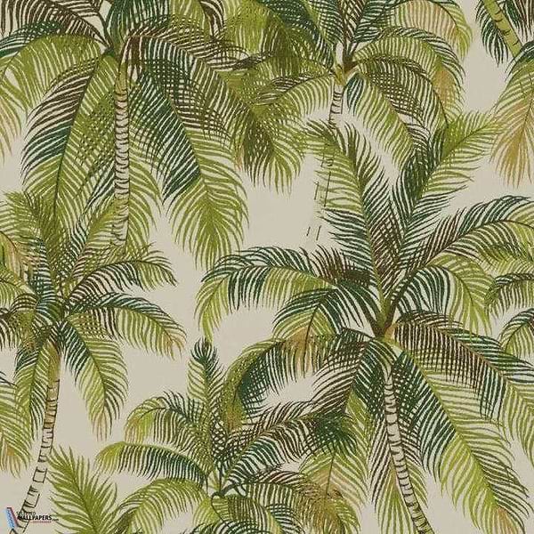 Tampa-wallpaper-Pierre Frey-Palmeraie-Roll-FP565001-Selected Wallpapers