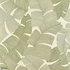 Tikehau-Tapete-Pierre Frey-Palmier-Meter (M1)-FP975003-Selected Wallpapers