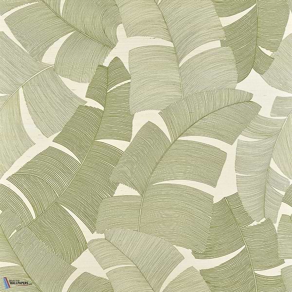 Tikehau-Tapete-Pierre Frey-Palmier-Meter (M1)-FP975003-Selected Wallpapers