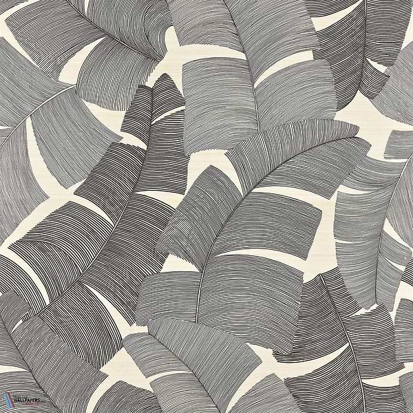 Tikehau-Tapete-Pierre Frey-Noir-Meter (M1)-FP975004-Selected Wallpapers