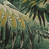 Tropicali-Wallpaper-Arte-Selected Wallpapers