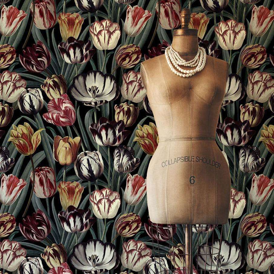 Tulipa-wallpaper-Mind the Gap-Selected Wallpapers