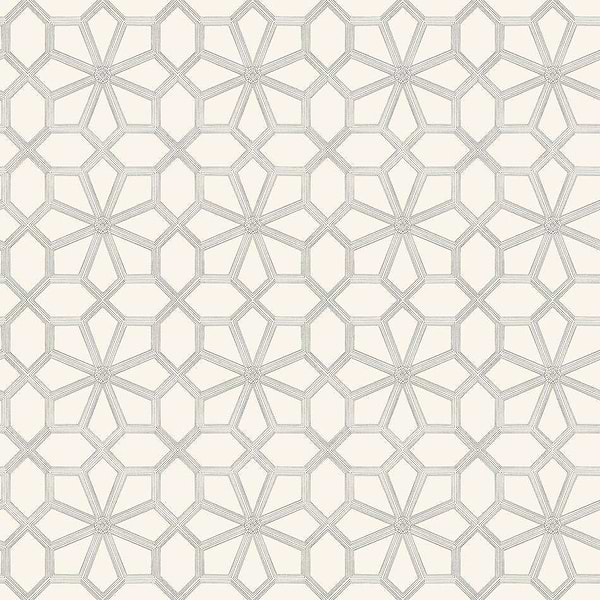 Wolsey Stars-Tapete-Cole & Son-Soot on Snow-Rolle-118/16036-Selected Wallpapers