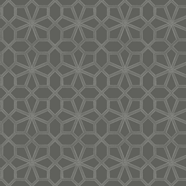 Wolsey Stars-Tapete-Cole & Son-Chalk on Charcoal-Rolle-118/16037-Selected Wallpapers