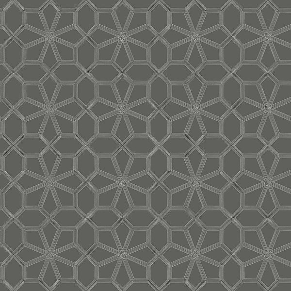 Wolsey Stars-Tapete-Cole & Son-Chalk on Charcoal-Rolle-118/16037-Selected Wallpapers