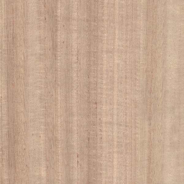 Wood Veneer Natural Palette-Tapete-Greenland-Primary Colour-Meter (M1)-N158NV1014-Selected Wallpapers