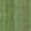 Wood Veneer Natural Palette-Tapete-Greenland-Willow Bough-Meter (M1)-N158NV1024-Selected Wallpapers