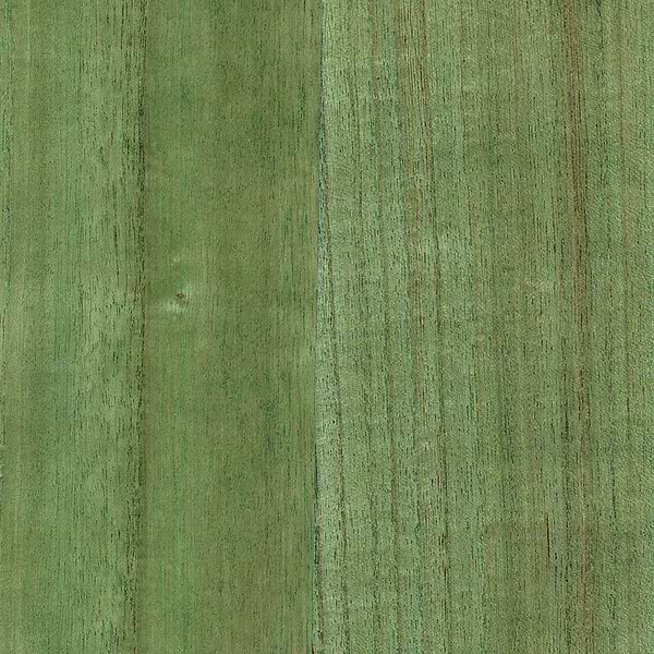 Wood Veneer Natural Palette-Tapete-Greenland-Willow Bough-Meter (M1)-N158NV1024-Selected Wallpapers
