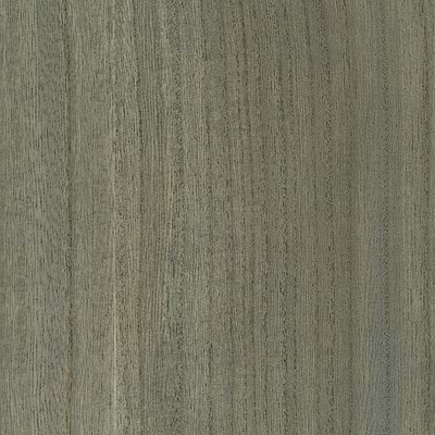 Wood Veneer Natural Palette-Tapete-Greenland-Forget me Not-Meter (M1)-N158NV1035-Selected Wallpapers