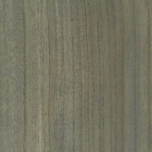 Wood Veneer Natural Palette-Tapete-Greenland-Forget me Not-Meter (M1)-N158NV1035-Selected Wallpapers