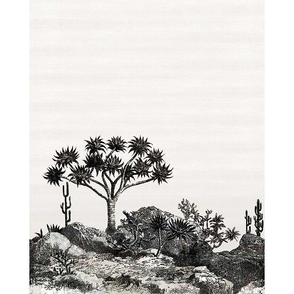 Yucca-Wallpaper-Nobilis-Selected Wallpapers